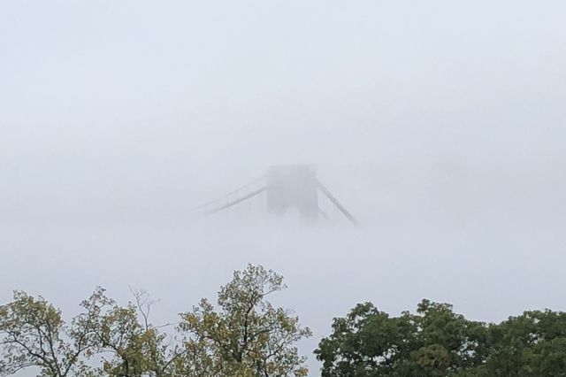 The George Washington Bridge is barely visibly through the fog; trees are in the foreground
